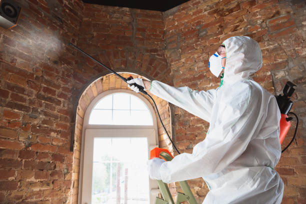 Best Commercial Mold Inspection  in USA